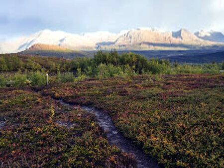 Gäddedevida highland plateau with the Blue Mountains range in the background.