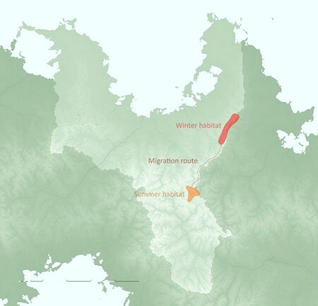 Distribution of the trunkbull in Vittmark.